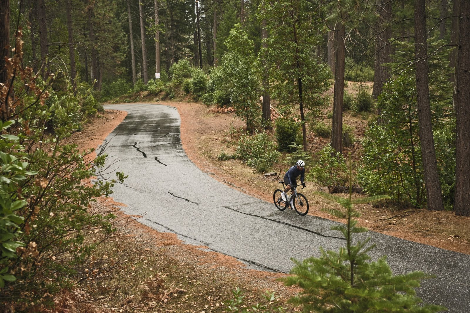 Giant Defy Advanced 2 riding in action