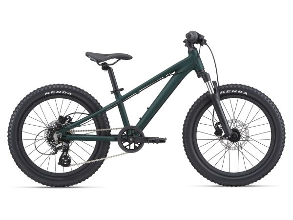 Giant STP 20 FS (2022) - Trekking Green