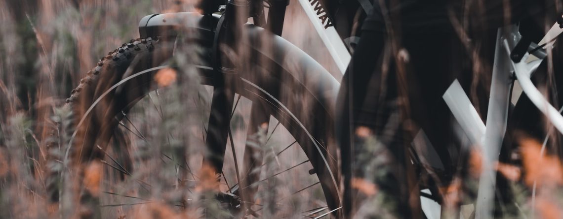 Giant Liv Thrive E+ EX Pro vs. Giant Liv Embolden E+ 1 Pro: A Comprehensive Comparison of Powerful Electric Bikes