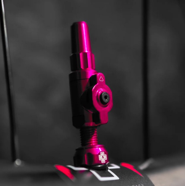 Muc-Off Big Bore Lite Tubeless Valves – Giant Bicycles Kenya
