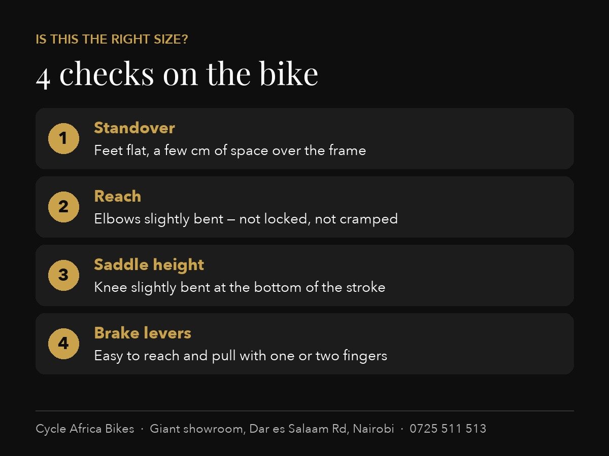 4 fit checks on the bike: standover, reach, saddle height, brake levers