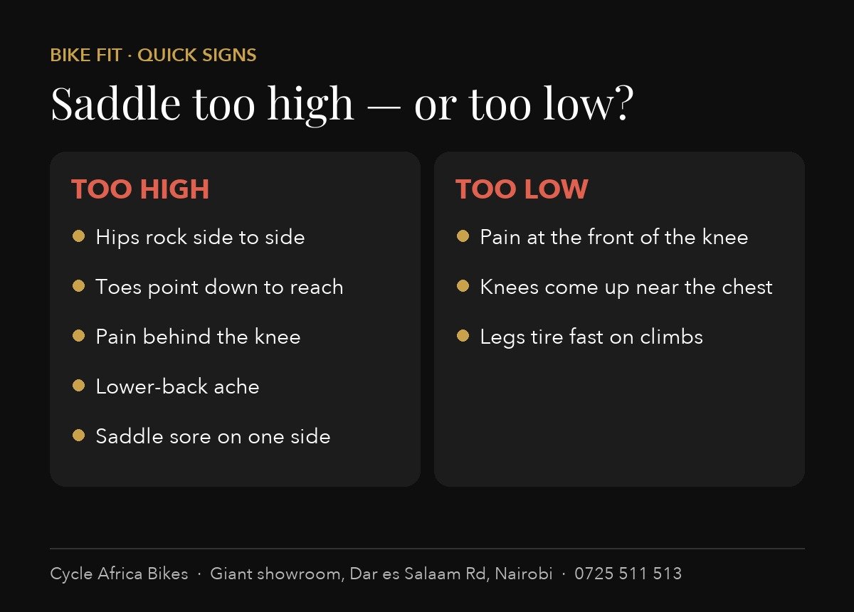 Signs your saddle is too high or too low