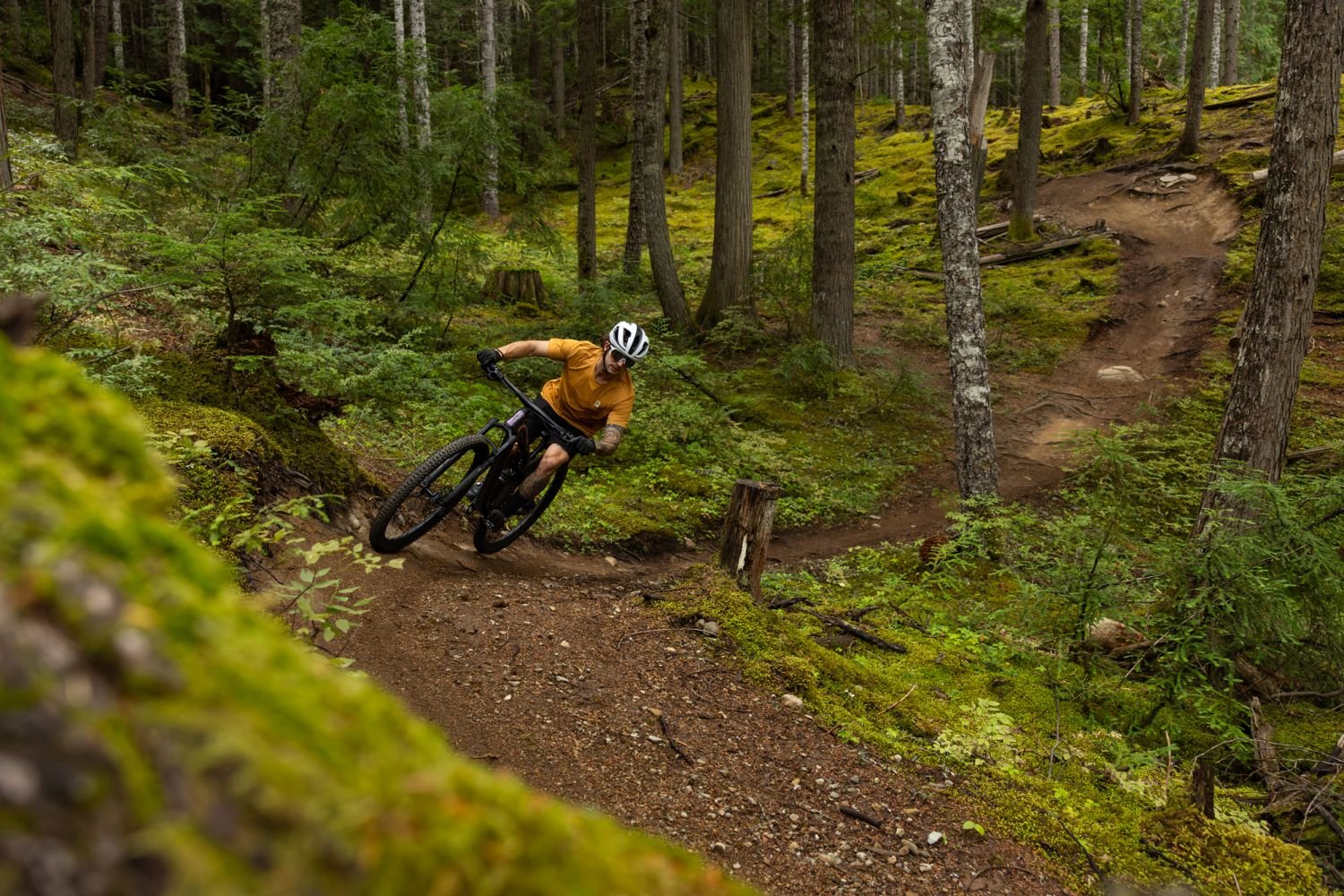Rider on the Anthem X Advanced Pro on a rocky forest trail
